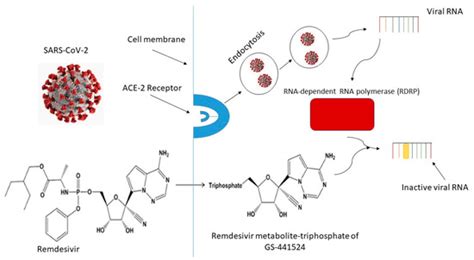Remdesivir—Bringing Hope for COVID-19 Treatment