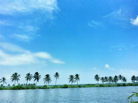 THE 10 BEST Resorts near Kumbalangy Integrated Tourism Village, Kochi ...