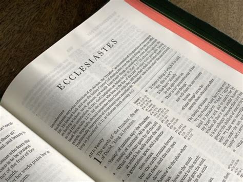 The odd comfort of Ecclesiastes | ChristianToday India