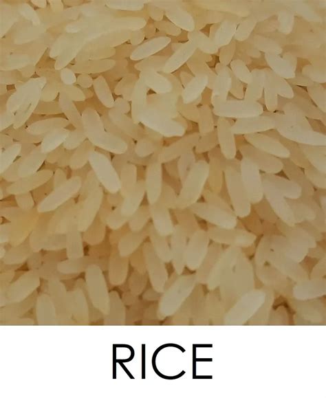 Rishabh Corporation: Purchase & Supply Grains