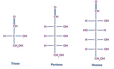 Sugars – Types, Tests, Sources, Importance, Side Effects, Practice ...