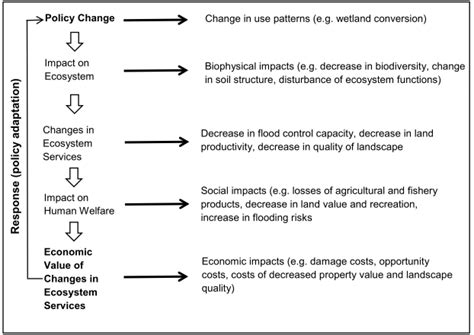 Assessing Social and economic impacts of wetland conversion by using an ...