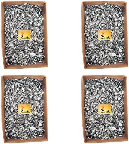 Buy Peta wizard Dry Young Adult Bird Food Imported Large Size Sunflower ...