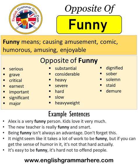 Opposite Of Funny, Antonyms of Funny, Meaning and Example Sentences ...