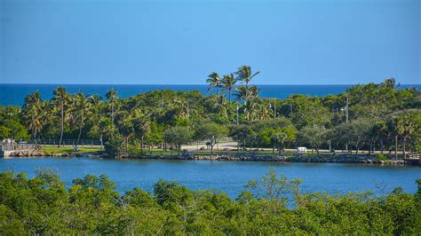 Anne Kolb Nature Center, West Lake Park – Florida Hikes