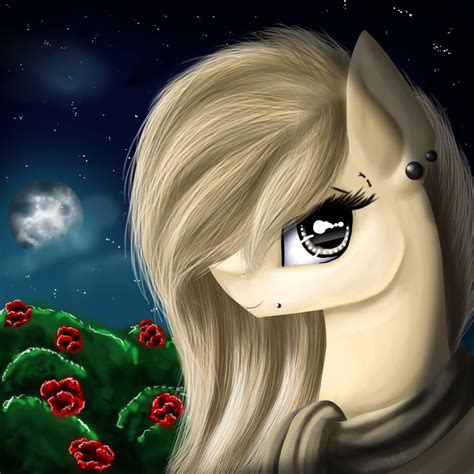 MLP Magpiepony 的图像结果