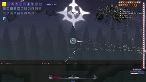 golem wont spawn in boss rush : r/CalamityMod