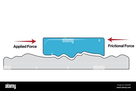 Force Animation 的图像结果