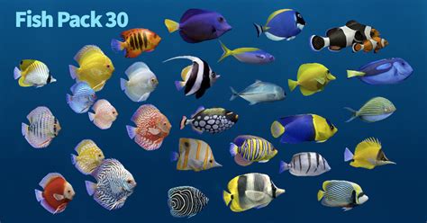 Image result for Unity Fish Code