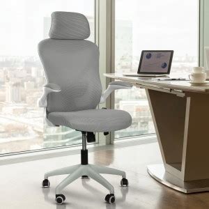 Drogo Office Chair for Work from Home Computer Chair with Head & Lumbar ...