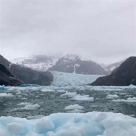 WHALE SONG CRUISES - All You Need to Know BEFORE You Go 2026 (with ...