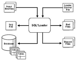 Oracle SQL Loader 的图像结果