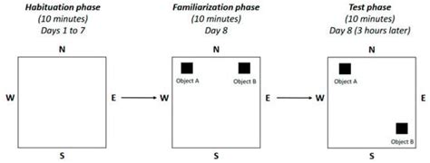 IJMS | Special Issue : New Insights into CKD and Age-Related Bone and ...