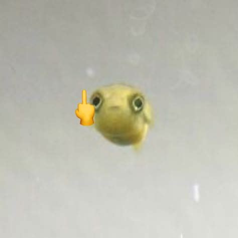 Image result for Rust Fish PFP