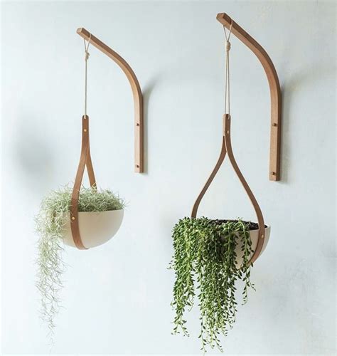 Beautiful bent wood plant hangers & brackets. By Tom Raffield | Plant ...