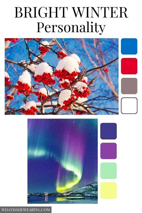 Image result for Bright Winter Color Analysis Examples
