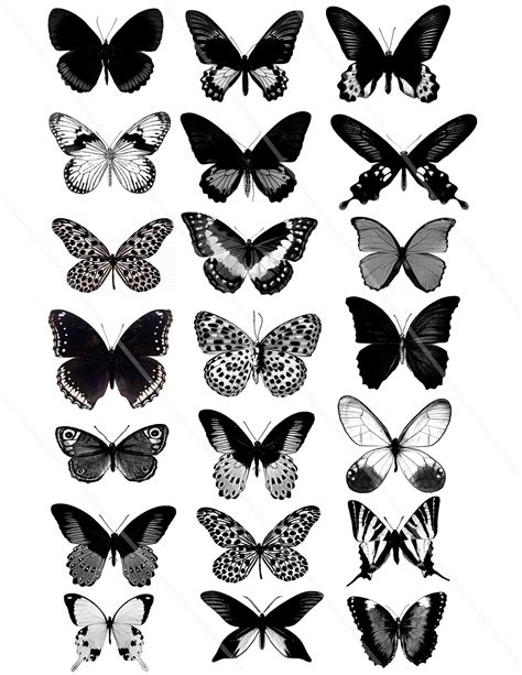 Black And White Butterfly Artwork – PPWBP