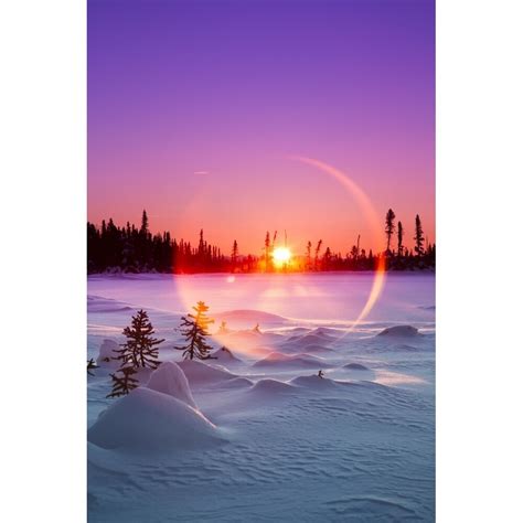 Sun Flare Glowing Over A Winter Landscape; Trapper Creek Alaska United ...