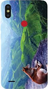 Everything. Back Cover for Tecno CAMON I Sky IN2 - Everything ...