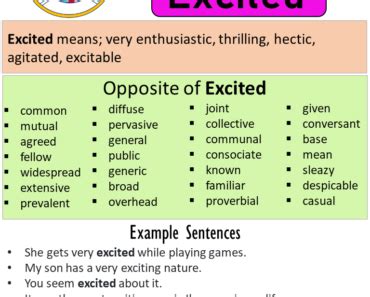 Opposite Of Regret, Antonyms of Regret, Meaning and Example Sentences ...