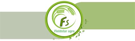 WOLF-Garten 3943062 Multi-Star Aluminium D-Handle with D-Grip, 85 cm ...