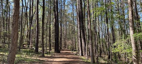 Collins Hill Park, Georgia - 582 Reviews, Map | AllTrails