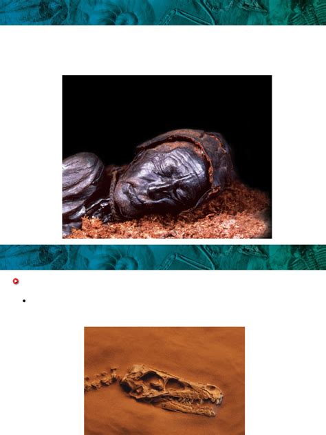 Fossil Dating Methods 的图像结果