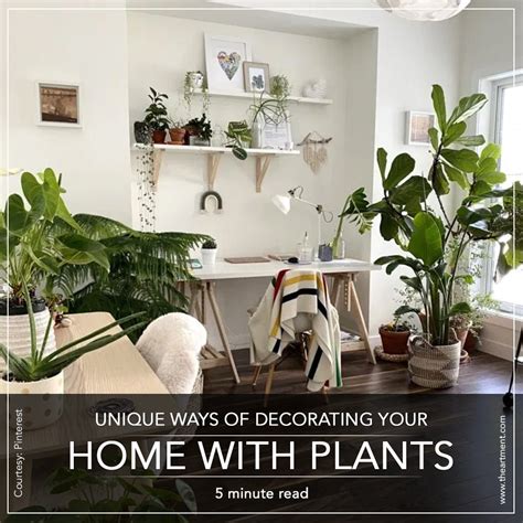 8 Unique Ways To Include Plants In Your Home Decor – The Artment