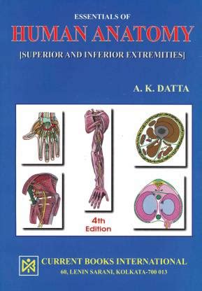 Essentials of Human Anatomy:Superior and Inferior Extremities: Buy ...