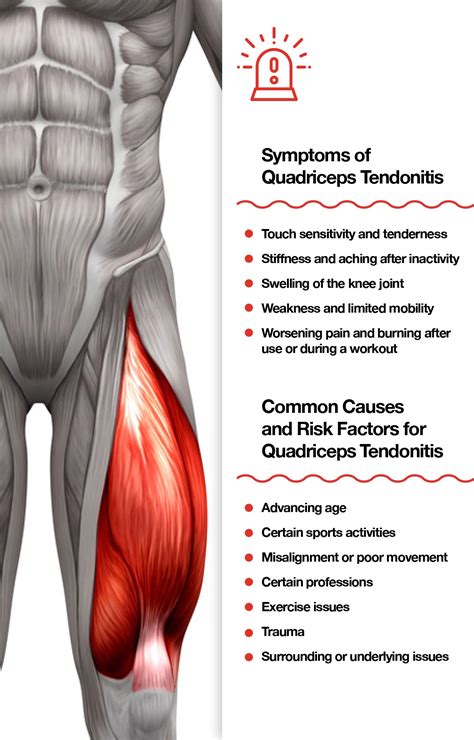 Quadriceps Tendonitis: Symptoms, Stretches, Strengthening Solutions ...