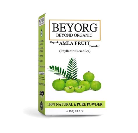 Organic Amla Indian Gooseberry Powder for Hair and skin (100G) : Amazon ...