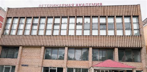 Международная ветеринарная академия МВА в Москве - официальный сайт