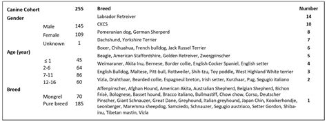 Pneumocystis Colonization in Dogs Is as in Humans