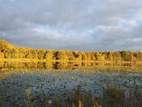 Sandy Ridge Reservation - Info — Lorain County Metro Parks