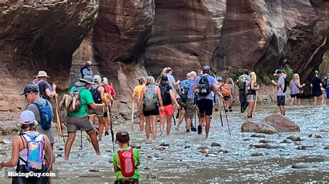 Hike the Narrows (Zion) to Wall Street