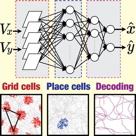 Cellular Neurophysiology Laboratory, MBU, IISc