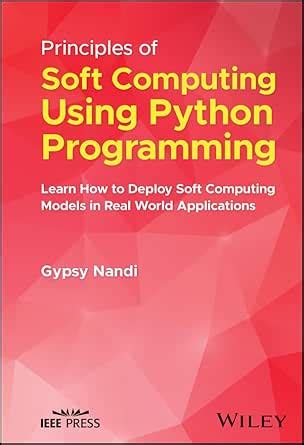 Principles of Soft Computing Using Python Programming: Learn How to ...
