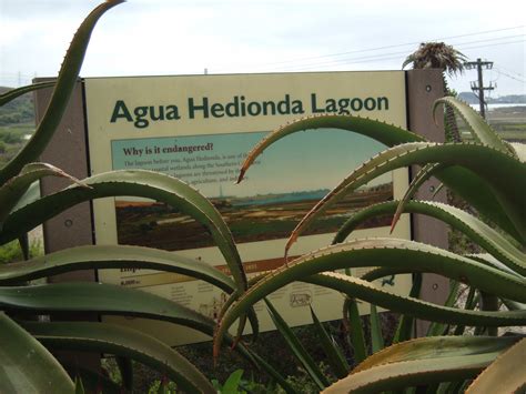 Explore the Agua Hedionda Lagoon Discovery Center in Carlsbad | At Home ...
