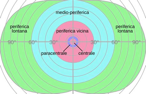 Image result for Peripheral Vision Field of View