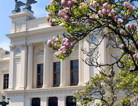 How to Learn Basic Course 的图像结果