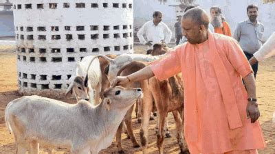 Replicated by other states, Yogi model of law & order is BJP’s major ...