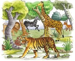 Animals in the Wild Class 2 Notes Science Free PDF