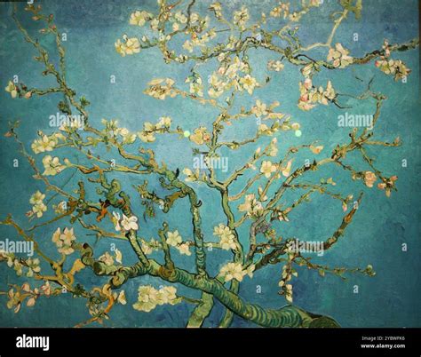 Almond Blossom 1890 Vincent van Gogh Stock Photo - Alamy