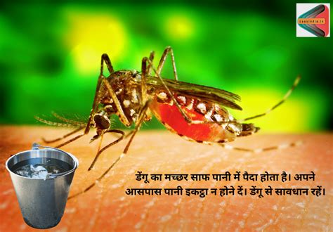 Dengue Case In Delhi 2023: जुलाई में टूटा पिछले 6 वर्षो का रिकॉर्ड CAAS ...