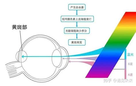 红外线对眼睛是否有伤害？ - 知乎