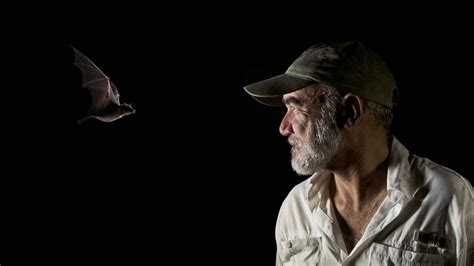 Nature - Preview of The Bat Man of Mexico - Twin Cities PBS