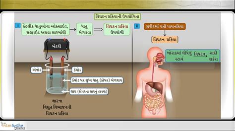 Ideal videos-Ideal Experiantial Learning Pvt. Ltd.