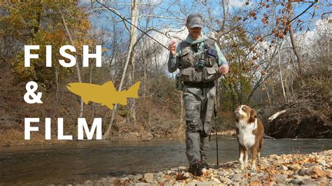 Fish and Film - Fishing Fall Streamers (VIDEO) - Troutbitten