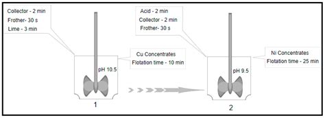 Oxidative Dissolution of Low-Grade Ni-Cu Ore and Impact on Flotation of ...