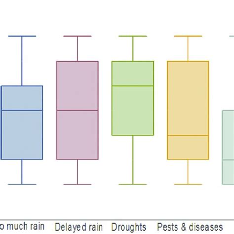 Box Plot Sample 的图像结果